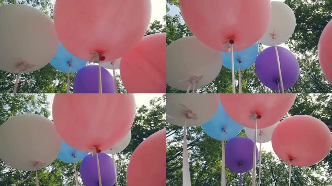 森林里五颜六色的大气球