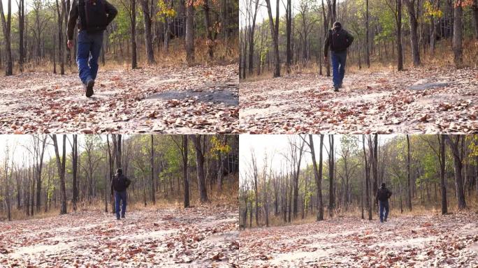 老人摄影师带着春旱走在森林里