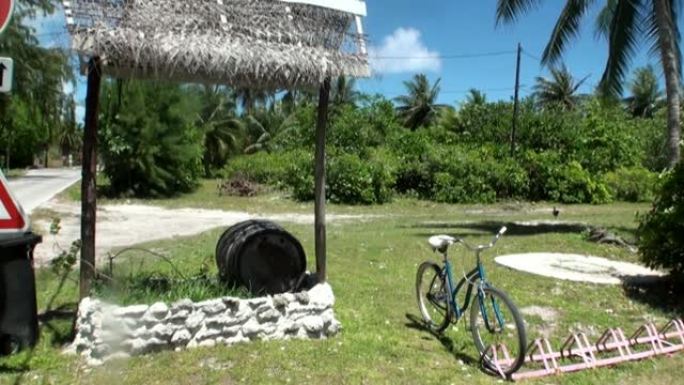 太平洋沿岸热带地区的自行车和枪管。