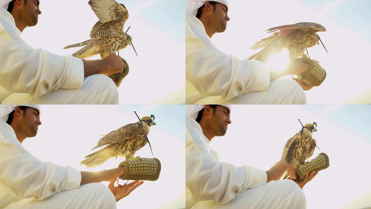 骄傲的阿拉伯男性展示训练有素的猎鹰
