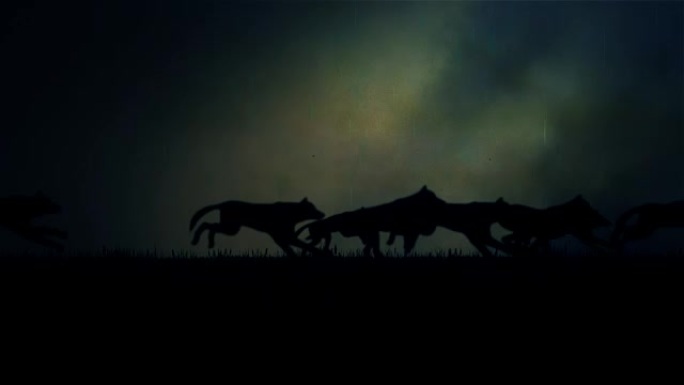 一大群狼在黑暗的暴风雨之夜奔跑