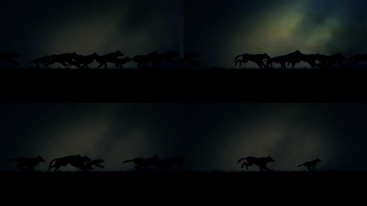 一大群狼在黑暗的暴风雨之夜奔跑