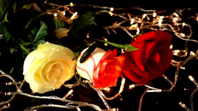 黑色背景上的玫瑰和花环。