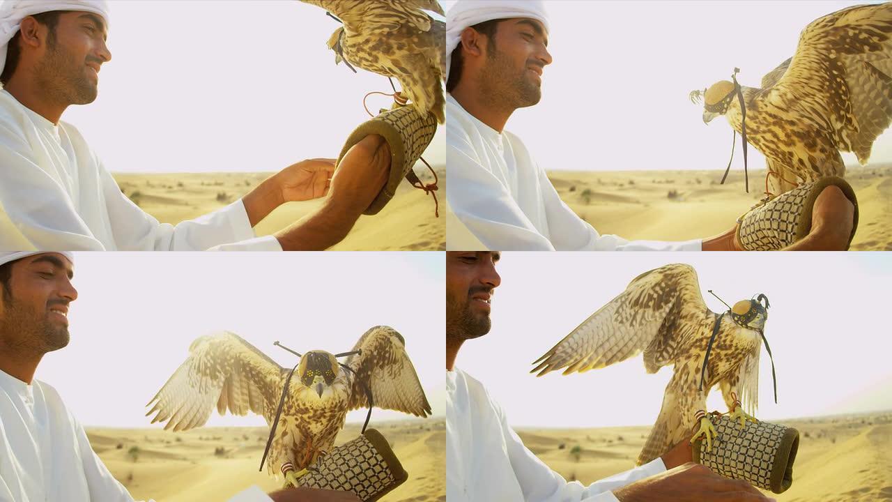 肖像拴鸟猎物雄性阿拉伯猎鹰腕部