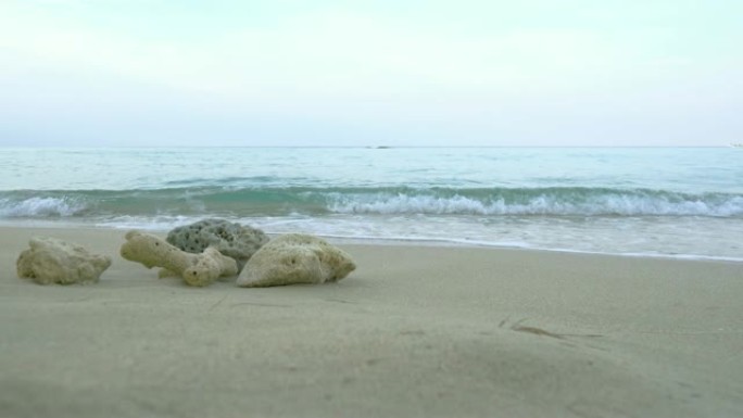 早晨，沙滩上的死珊瑚在海边，面对粉红色和白色的天空，涟漪波。阳光明媚的美丽蔚蓝海岸。热带天堂海滩的暑