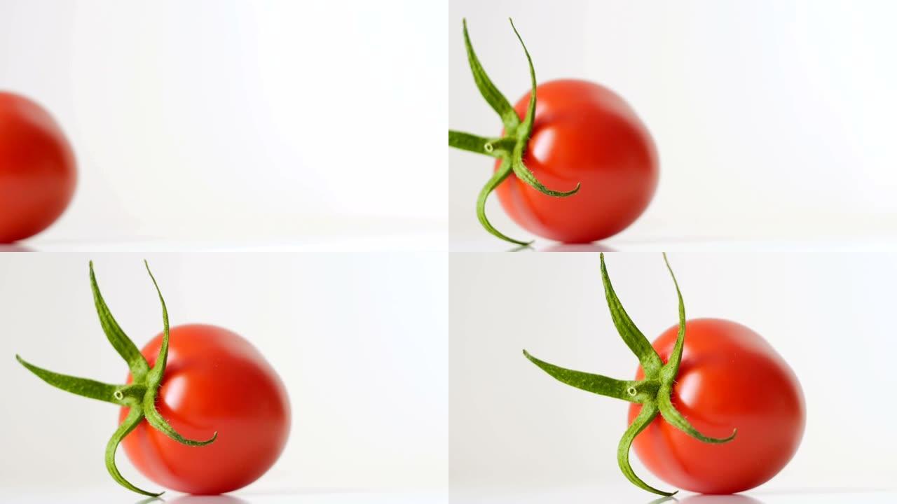 多莉: 白色背景上多汁新鲜红番茄