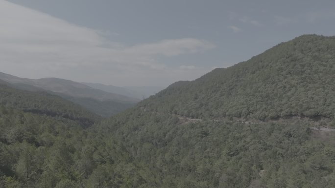 盘山路 大山 树木繁茂 树林 山路 曲折