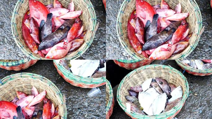 海鲜市场出售篮子上的新鲜彩色热带鱼