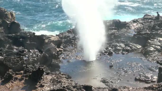 夏威夷。茂宜岛岸边的喷泉 (间歇泉)。