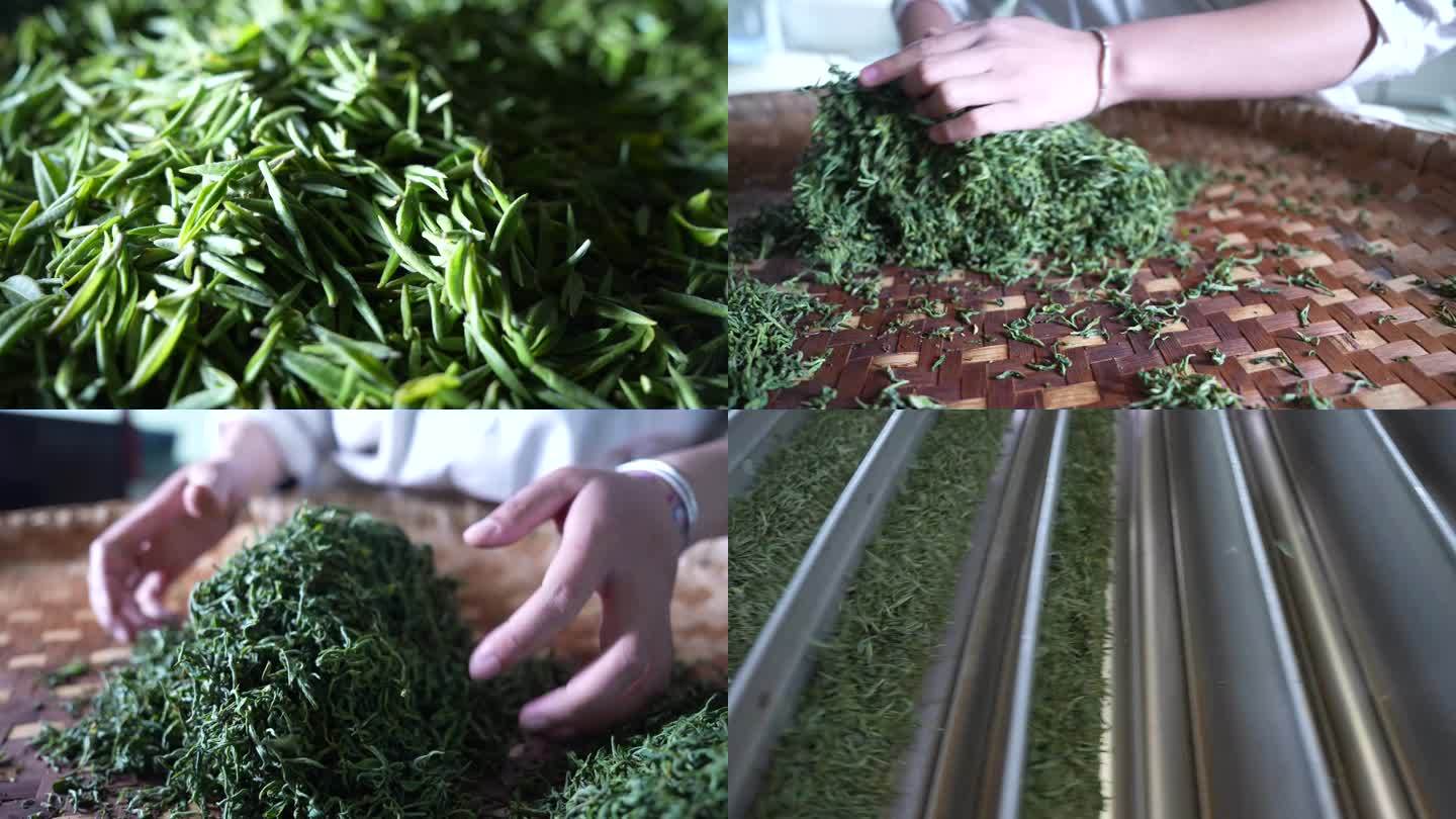 4k茶叶生产视频素材