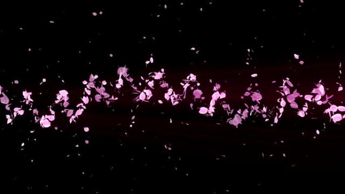 樱花的螺旋闪亮颗粒。樱花图案。日本樱桃舞。粉红色花瓣的漩涡。抽象循环动画。