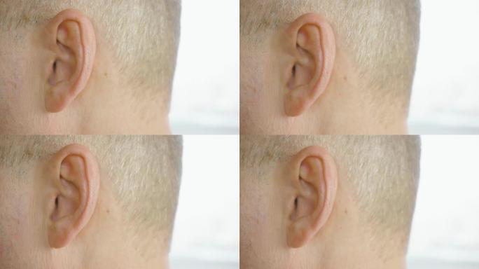 灰色太阳穴移动耳朵特写的成年男子。男性耳朵微距拍摄侧视图
