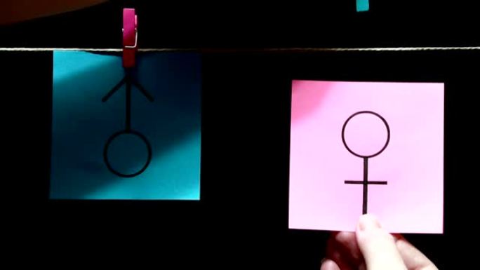 两张贴纸。蓝色纸上是男孩符号的图像。粉红色的床单上是女孩符号的图像。用绳子上的衣夹手动连接床单。黑色