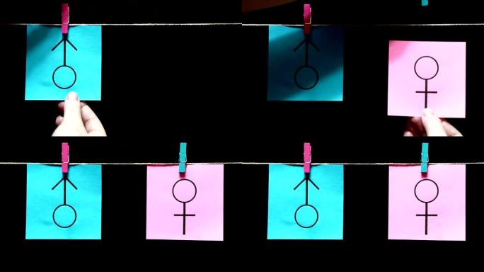 两张贴纸。蓝色纸上是男孩符号的图像。粉红色的床单上是女孩符号的图像。用绳子上的衣夹手动连接床单。黑色