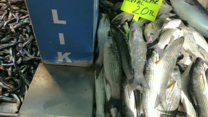 市场上的鲜鱼