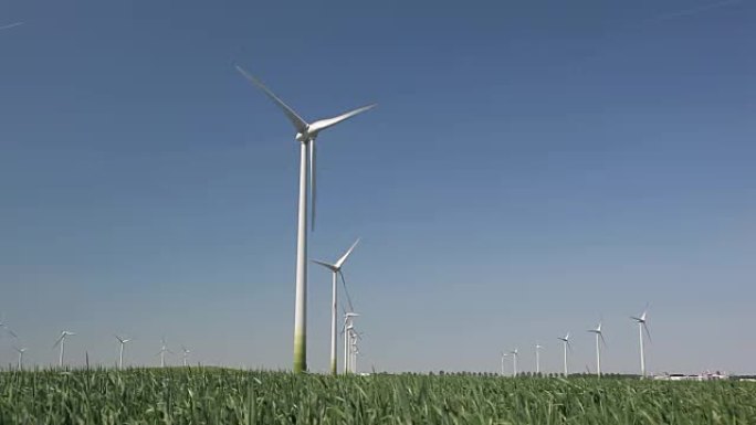 荷兰的风电场生产替代能源