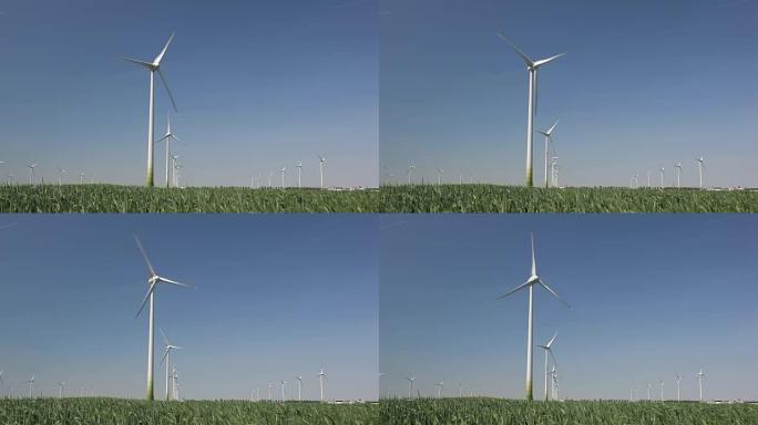 荷兰的风电场生产替代能源