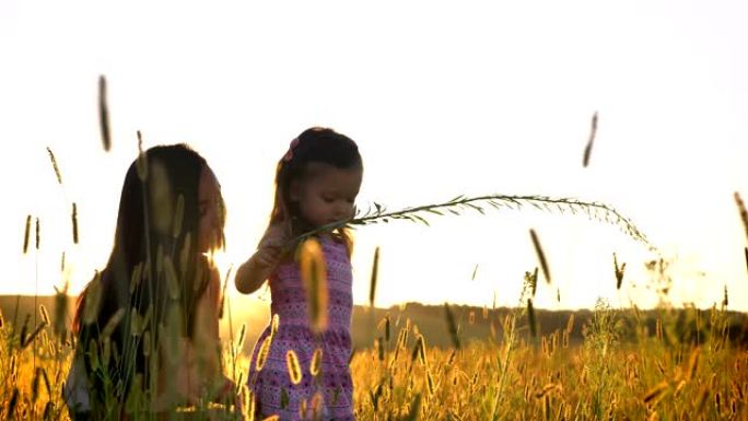 带孩子的亚洲妈妈夏天在田间散步，坐在小麦里，女儿坐在妈妈的腿上，玩花，家庭观念