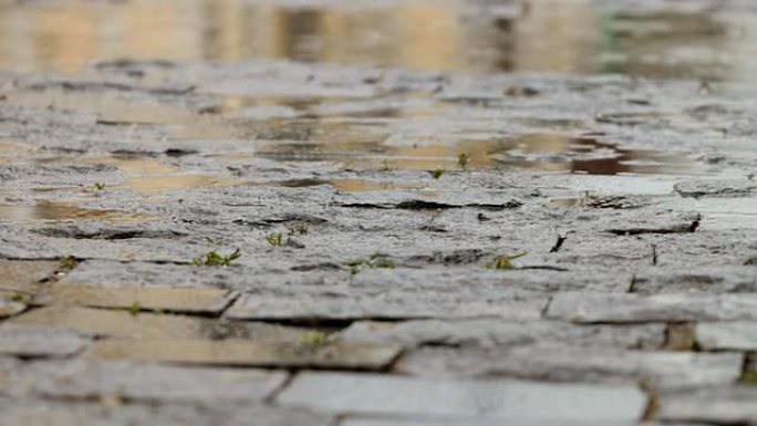 多雨的鹅卵石路