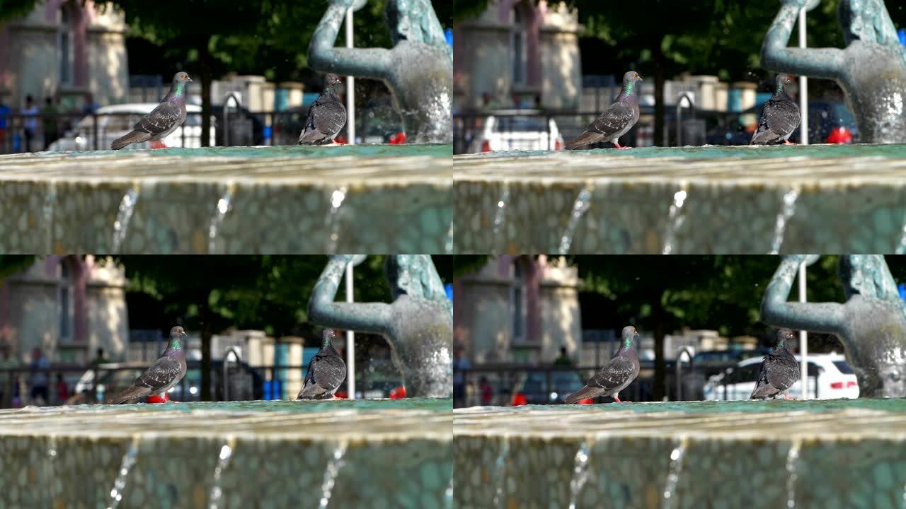 城市喷泉的细节。流动的水的特写镜头。城市场景。公共公园。城市生活