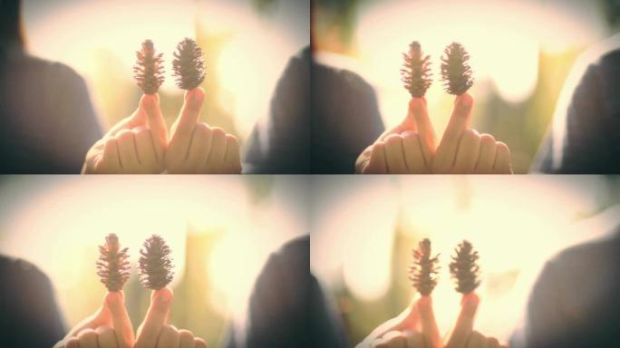 在阳光明媚的日子里，年轻的夫妇在户外用手指拿着松果。