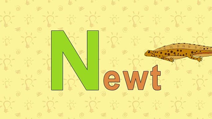 Newt. English ZOO字母表-字母N