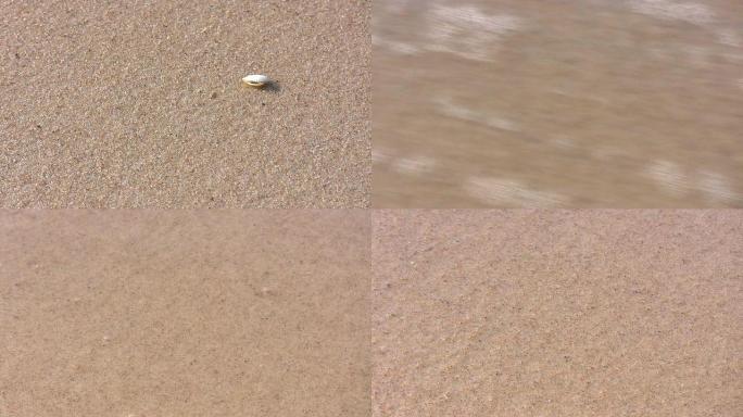 沙滩、波浪和贝壳