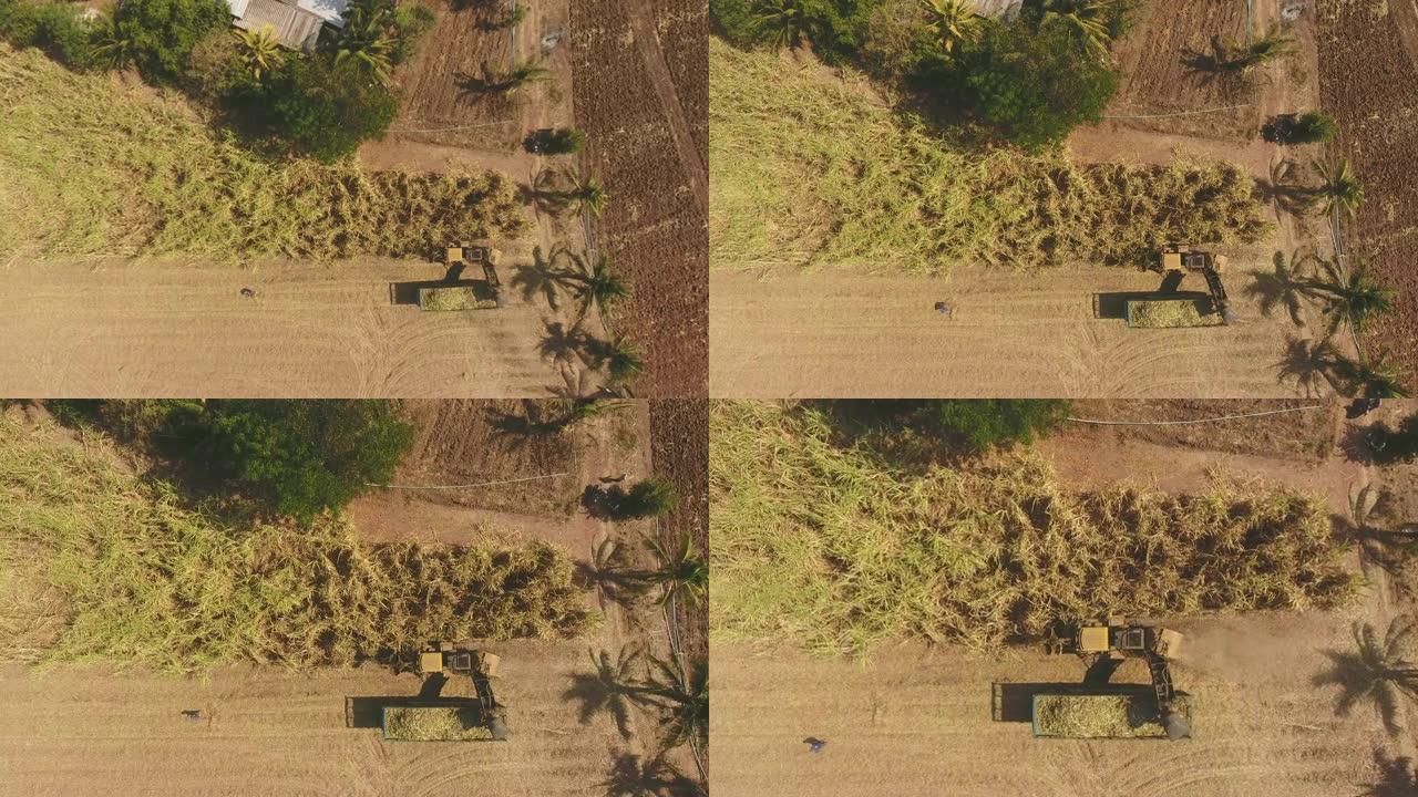 甘蔗农场种植园的作业收割机，鸟瞰图