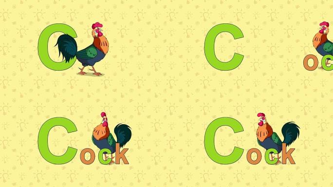 公鸡。英语动物园字母-字母C