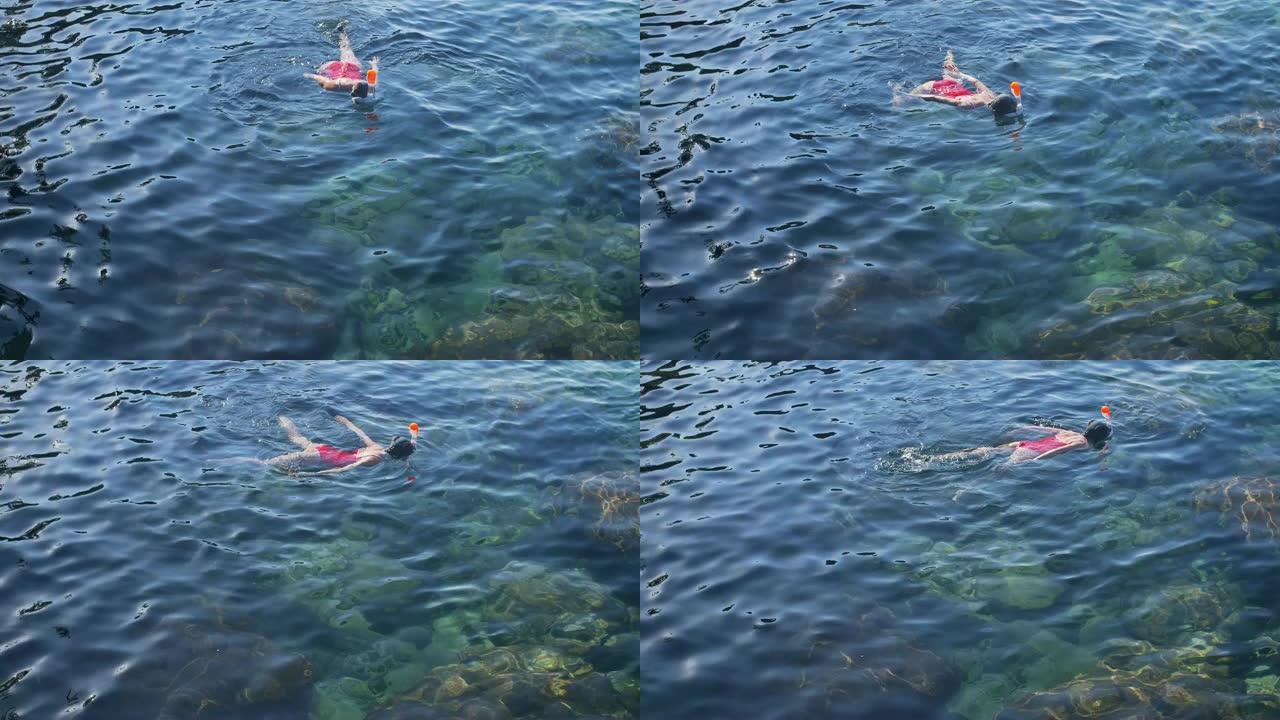 年轻女子穿着红色泳衣在蓝色热带水中浮潜
