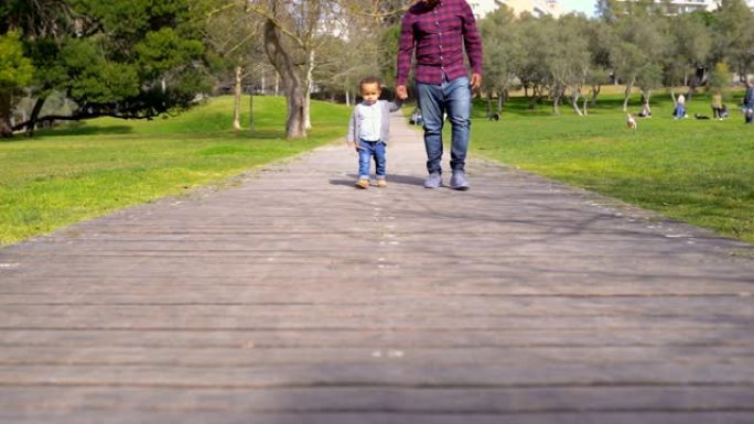 非洲裔美国父亲带着小混血儿在公园散步
