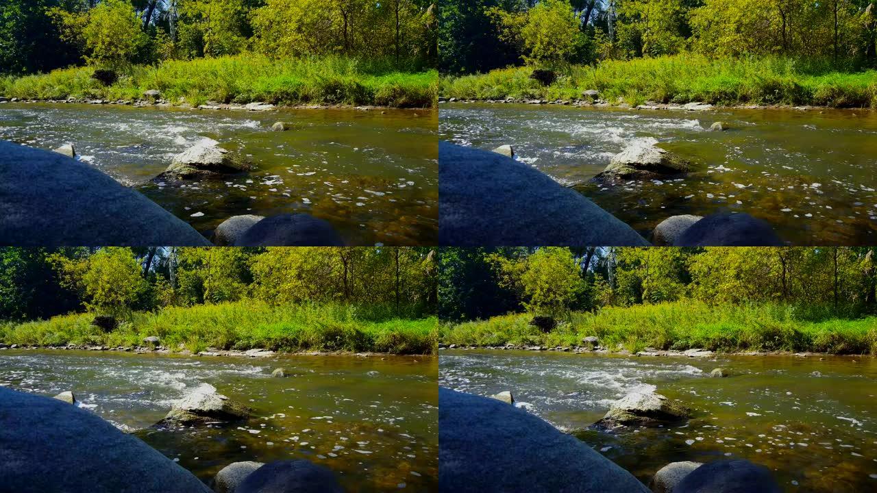 用河边的森林把石头扔进美丽的流水里。岩石沿着柔和的宽阔溪流溅入阳光充足的河岸树木。