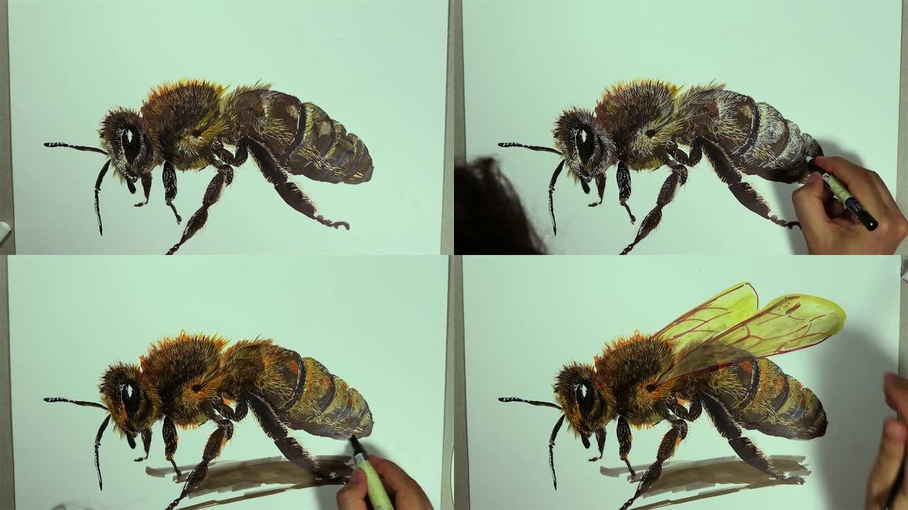 一只手用铅笔在白板上画一只蜜蜂昆虫