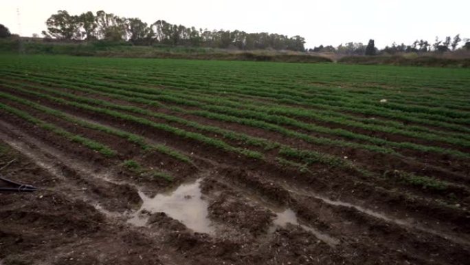 农业犁沟，耕地雨水破坏