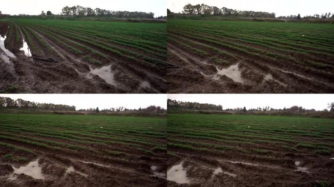 农业犁沟，耕地雨水破坏
