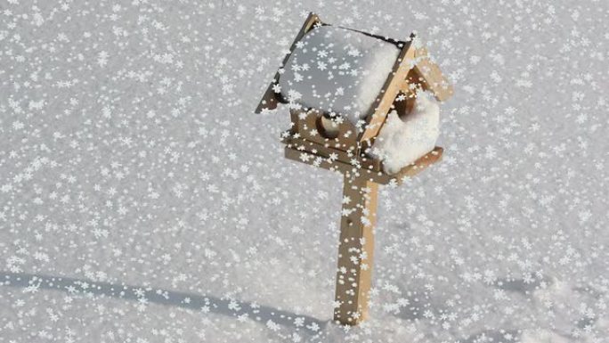 鸟盒上的降雪