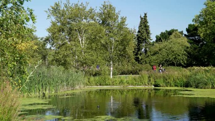 伦敦摄政公园玛丽皇后花园部分的湖