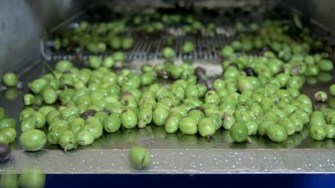 专注于清洁的绿橄榄在破碎机中缓慢落下-Makig橄榄油