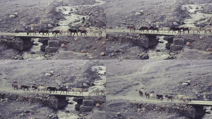 马车队在尼泊尔偏远的野马区建造了一座桥。