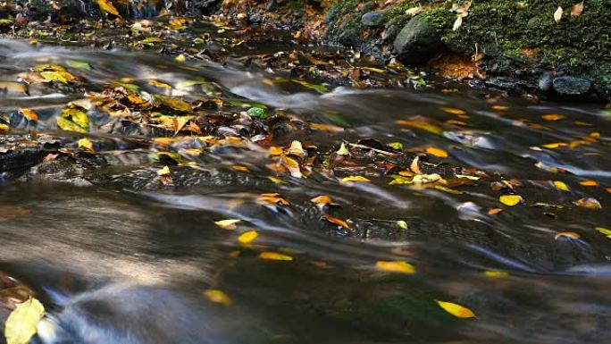 大自然的美丽未受破坏的淡水流过岩石秋天的色彩