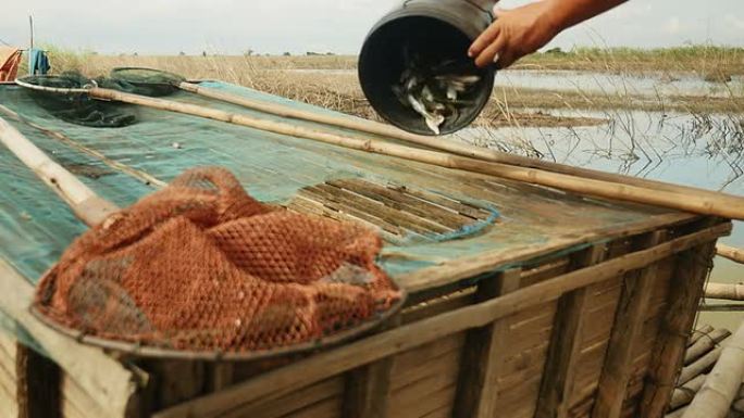 一名渔民将用中国渔网捕获的鱼扔进竹箱的特写镜头