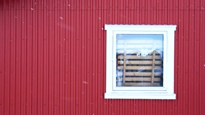 渔村红墙白窗下雪天