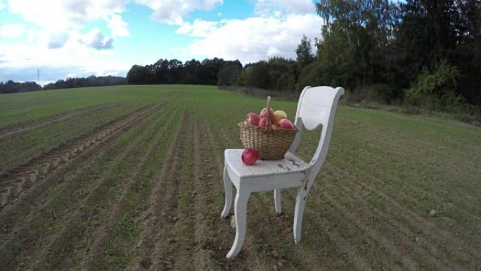 田野上的白色古董木椅和篮子里的苹果。延时