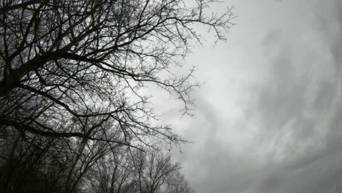 冬季景观，天空与树木的时间流逝