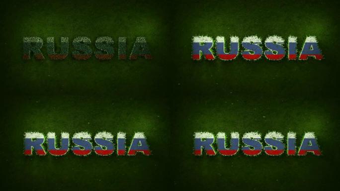 俄罗斯国旗出现在长草上