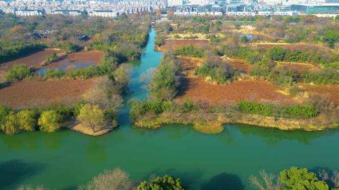 杭州西湖区西溪湿地美景风景视频素材