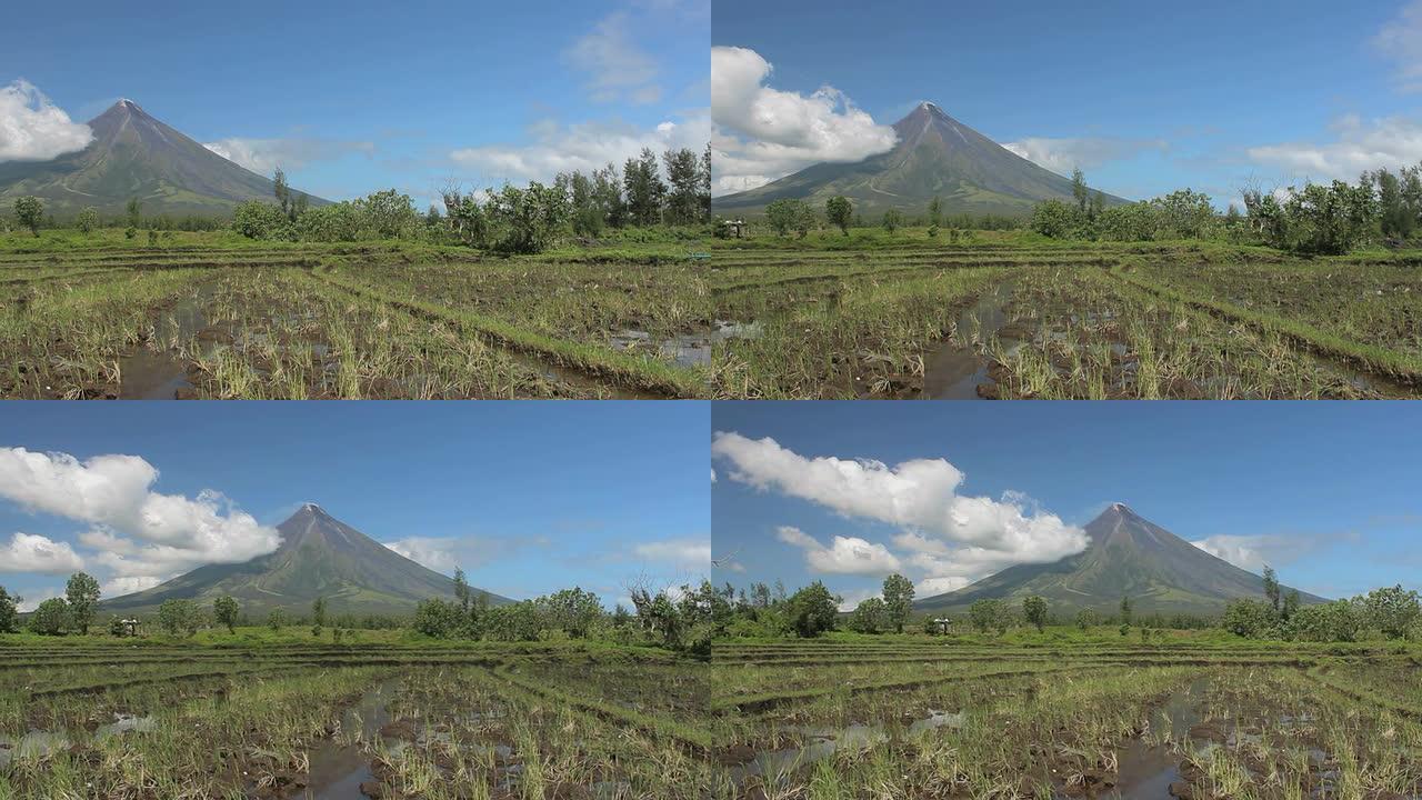 带有稻田的马永火山，菲律宾黎牙实比，全景拍摄