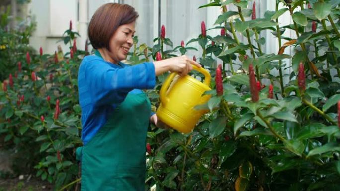 女园丁浇水植物