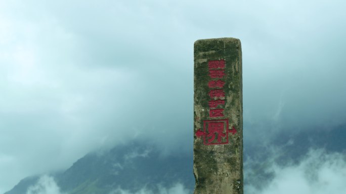 高山云层间的鹦哥岭保护区界碑