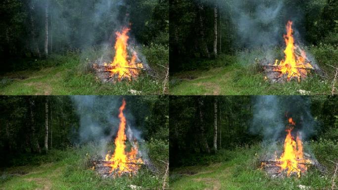 夏天被林木包围的火焰燃烧。4K